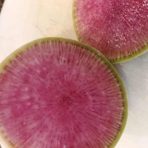 Starburst Hybrid Radish Seeds photo review