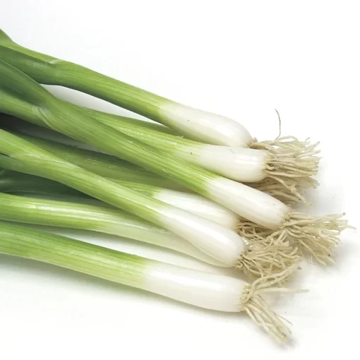 Damast Bunching Onion Seed