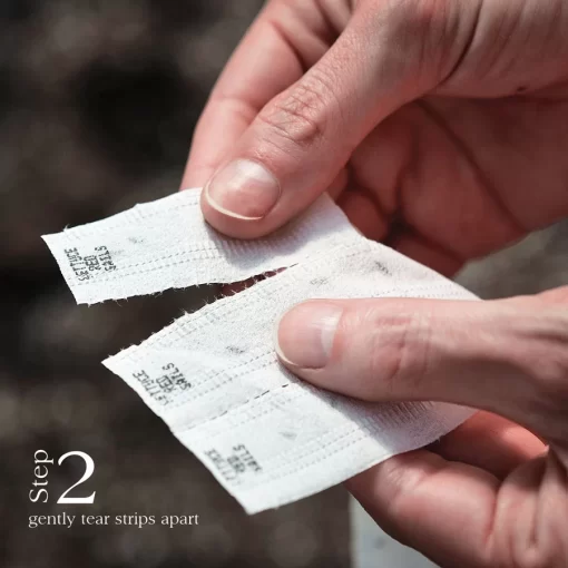 Damast Bunching Onion Seed - Image 3