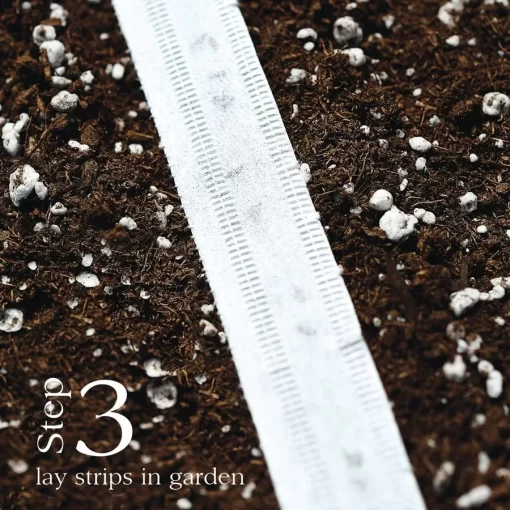 Damast Bunching Onion Seed - Image 4