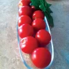 Mountain Magic Hybrid Tomato Seeds