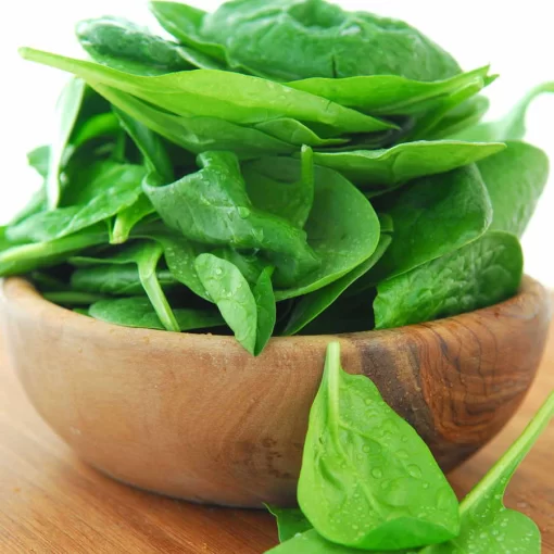 Spinach Novico Hybrid - Image 2