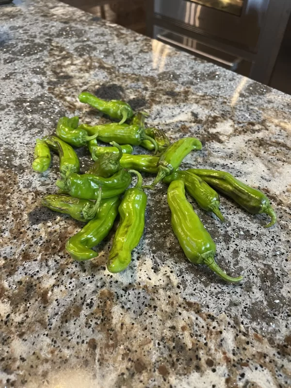 Aruba Pepper Seeds photo review
