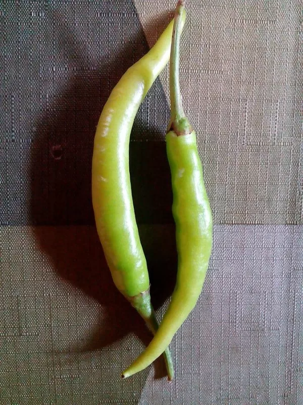 Shu Ornamental Pepper Seeds photo review