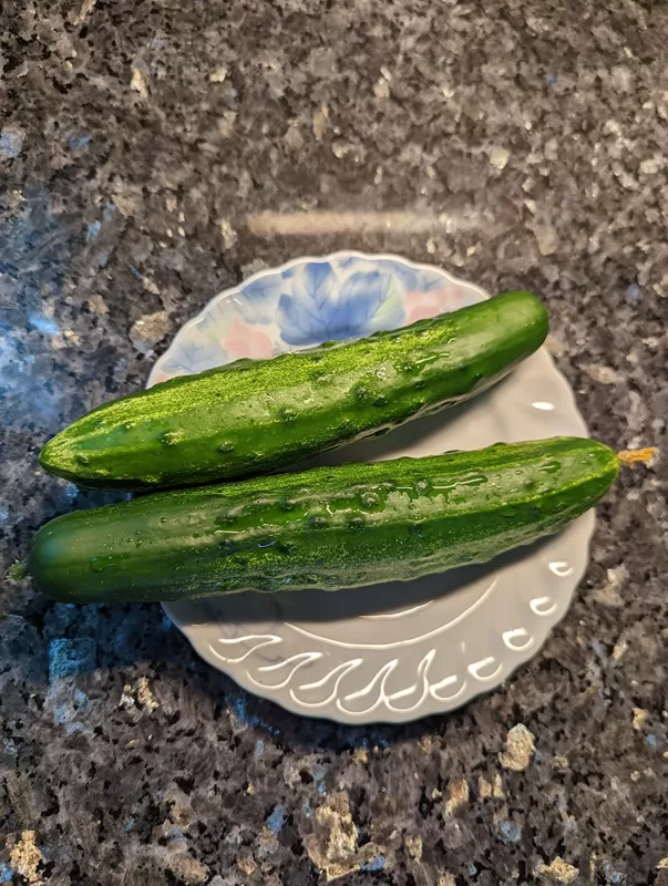 Tasty Green Hybrid Cucumber Seeds photo review