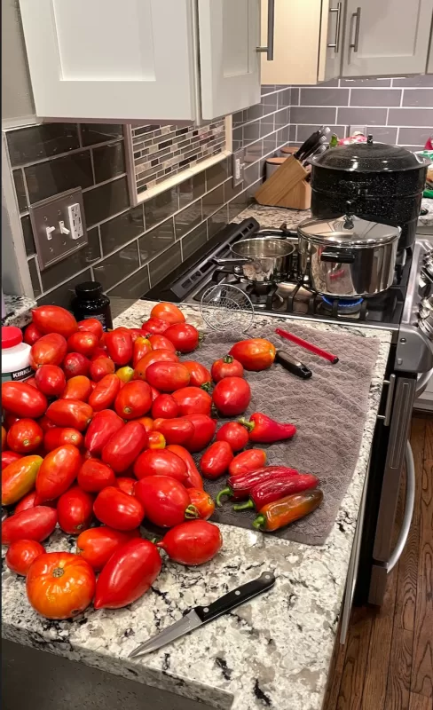 Supremo Hybrid Tomato Seeds photo review