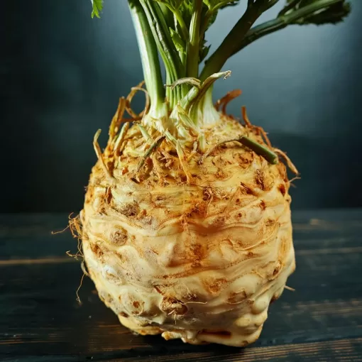 'Mars' Organic Celeriac Seeds - Image 2